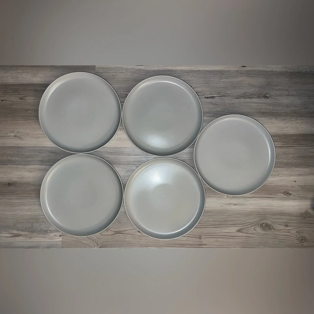 West Elm Dinner Plate Set Of 4 Charleston Bluish Gray